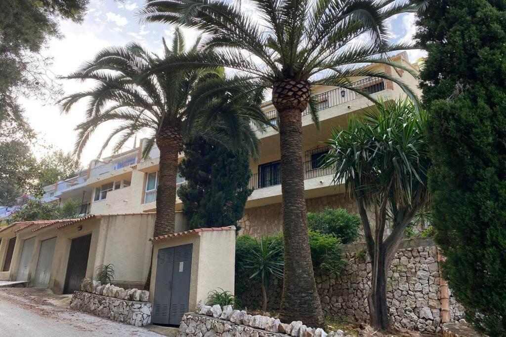 Cayetana Javea