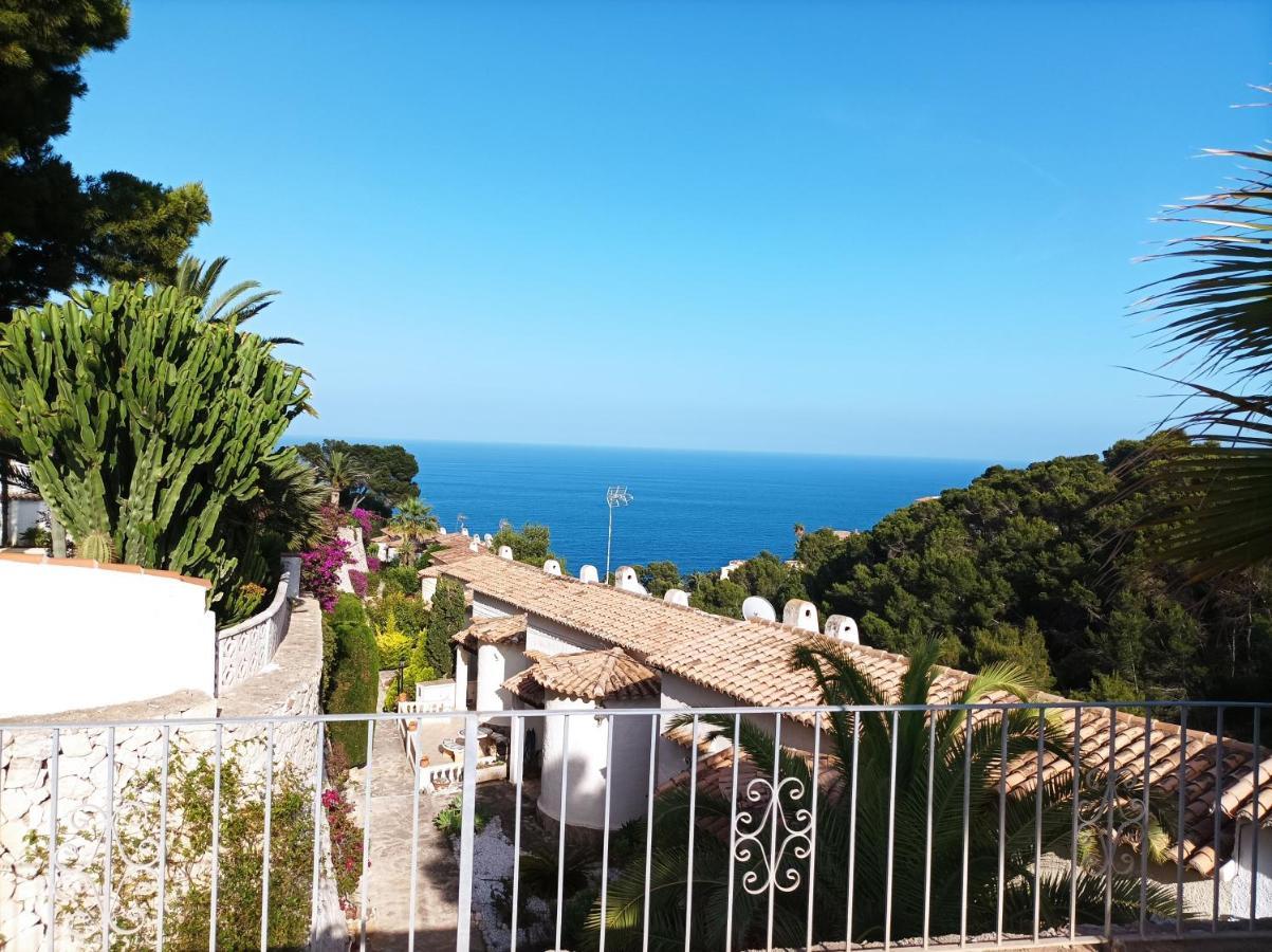 Cayetana Javea